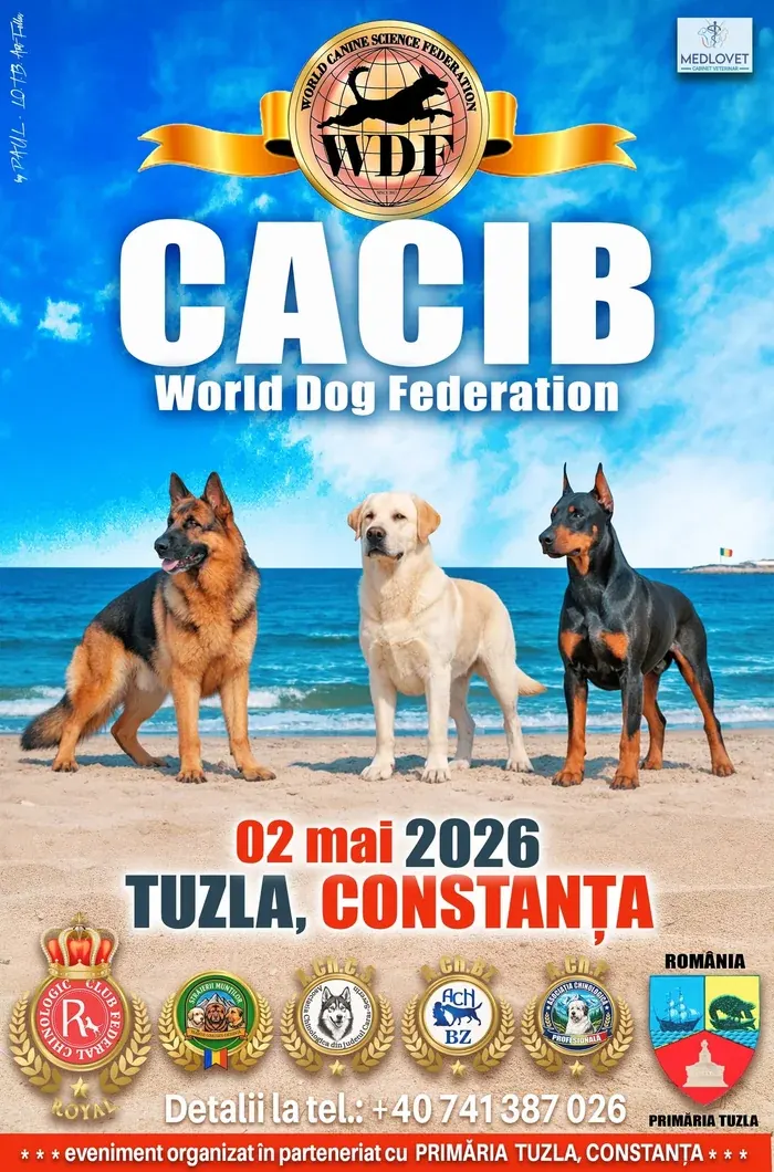 Afiș CACIB Tuzla — WDF Constanța Dog Show, 2 mai 2026